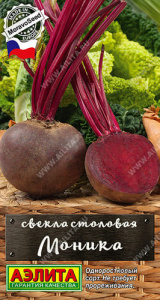 Свекла Моника  купить