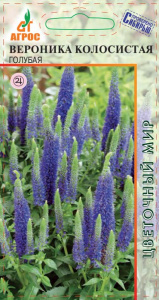 Вероника колосистая Голубая купить