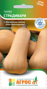 Тыква Страдивари купить