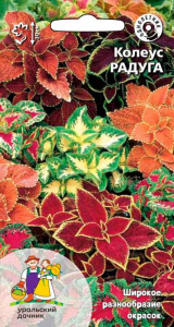 Колеус Радуга купить