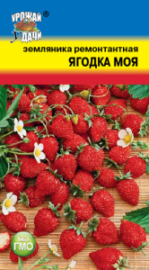 Земляника Ягодка Моя Рем. купить