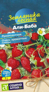 Земляника Али-Баба купить