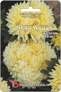 Астра Леди Коралл Еллоу купить