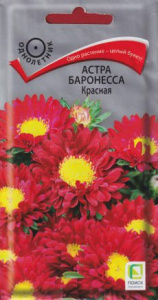 Астра Баронесса Красная купить