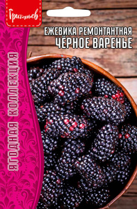 Ежевика Чёрное Варенье (Black Jam) купить