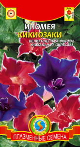 Ипомея Кикиозаки  купить