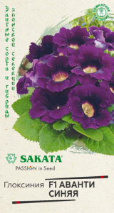 Глоксиния Аванти синяя F1 Саката  купить
