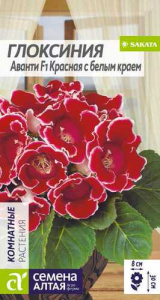 Глоксиния Аванти Красная с белым краем  купить