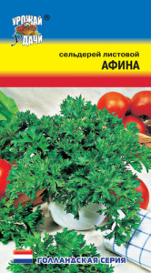 Сельдерей Афина листовой  купить