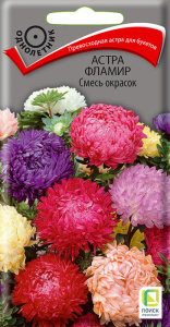 Астра Фламир, смесь  купить