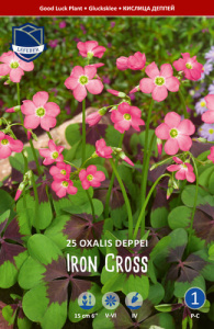Кислица/Oxalis deppei Iron Cross /25шт купить