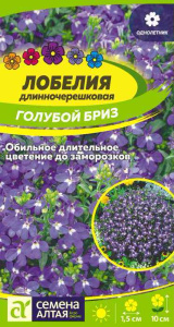 Лобелия Голубой бриз длинночерешковая