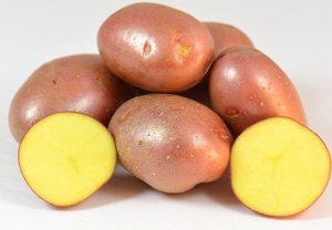 Картофель семенной Ред Леди (1-я репродукция) 2кг купить