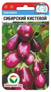 Баклажан Сибирский кистевой  купить