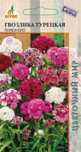 Гвоздика Пиноккио турецкая купить