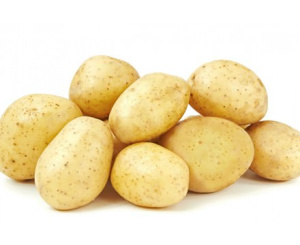 Картофель семенной Леди Клэр 2кг/10 купить