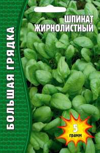 Шпинат Жирнолистный купить