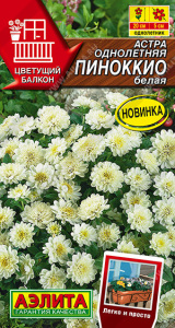 Астра Пиноккио белая /Цветущий балкон купить