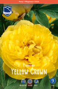 Пион Yellow Crown /1шт купить