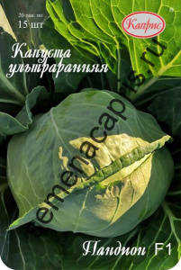 Капуста Пандион F1 (Нидерланды) /1шт купить