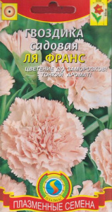 Гвоздика Ля Франс садовая купить