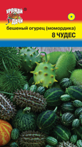 Бешеный огурец Момордика 8чуд. купить