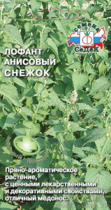 Лофант Снежок  купить