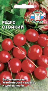 Редис Стойкий  купить