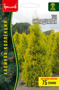Туя Складчатая купить