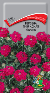 Вербена Маджента гибридная купить