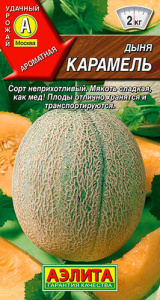 Дыня Карамель  купить