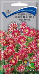Аквилегия обыкновенная Нора Барлоу 0.05г купить