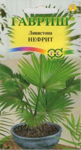 Ливистона Китайская Нефрит  купить