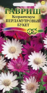 Ксерантемум Перламутровый букет  купить