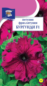 Петуния Фрилитуния Бургунди  купить