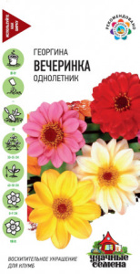 Георгина Вечеринка Уд. с. купить