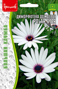 Диморфотека Polar Star  дождевая купить