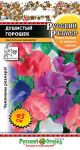 Душистый горошек смесь РР купить