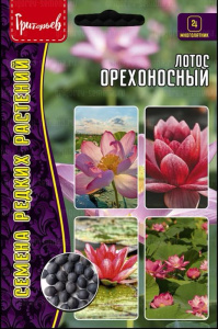 Лотос Орехоносный купить