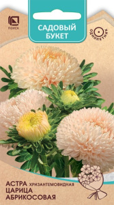 Астра Царица Абрикосовая хризантемовидная купить