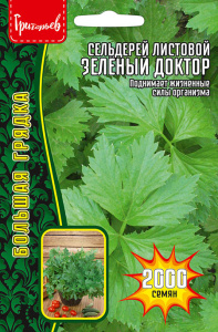 Сельдерей Зеленый Доктор листовой  купить
