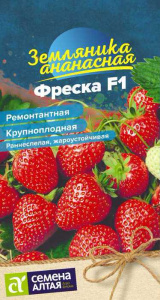 Земляника Фреска ремонтантная