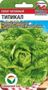 Салат Типикал купить