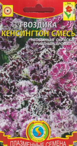 Гвоздика Кенсингтон смесь  купить