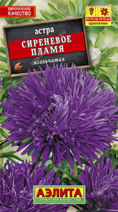 Астра Сиреневое пламя  купить