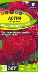 Астра Баллон Красная купить