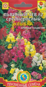 Львиный зев Улыбка F2 среднерослый купить