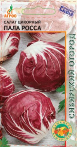 Салат Палла Росса цикорный  купить