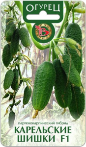 Огурец Карельские Шишки  F1 купить
