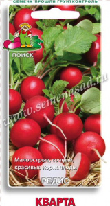 Редис Кварта купить